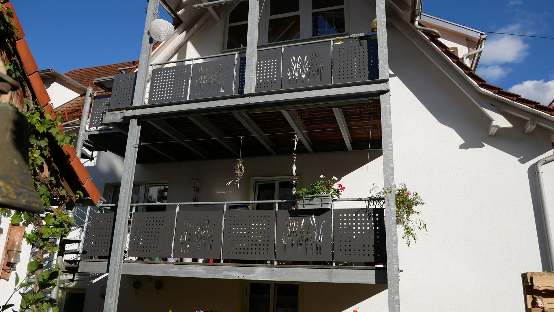 0625 - Schilf – Bild 2